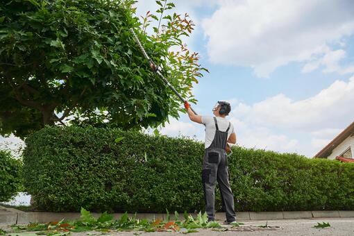 An image of Tree/Shrub Trimming and Pruning in Zionsville, IN