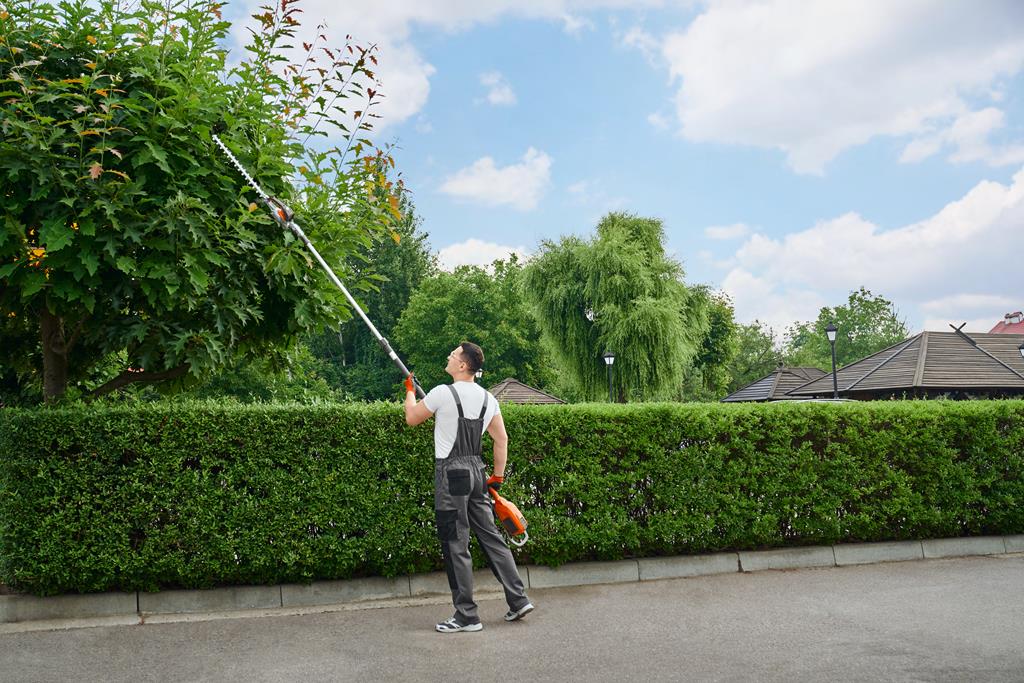 An image of Tree/Shrub Trimming and Pruning Services in Zionsville, IN

